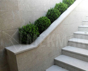Seagrass Limestone - 9