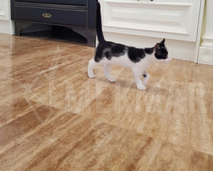 Travertin veiné noyer - 2