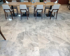 Cloudy Grey Marble - 10