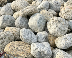 Tiger Gneiss Pebble - 5