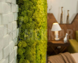 Marble Mosaic MT-W-3D22 - 4