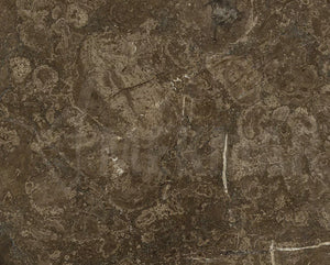 Armani Brown Marble - 9