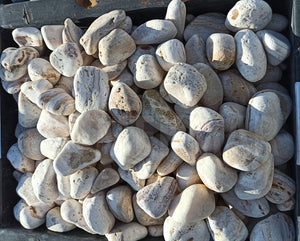 Angel Sparks Pebble - 2