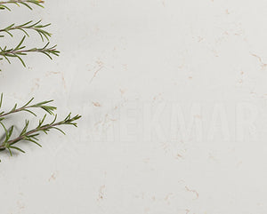 Calacatta Oro Quartz - 2