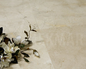 Crema Marfil Marble - 8