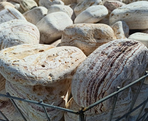 Angel Sparks Pebble - 5