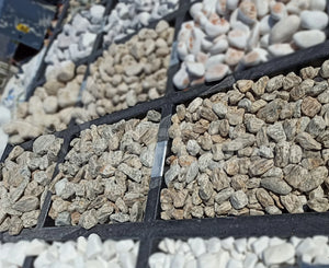 Tiger Gneiss Pebble - 7