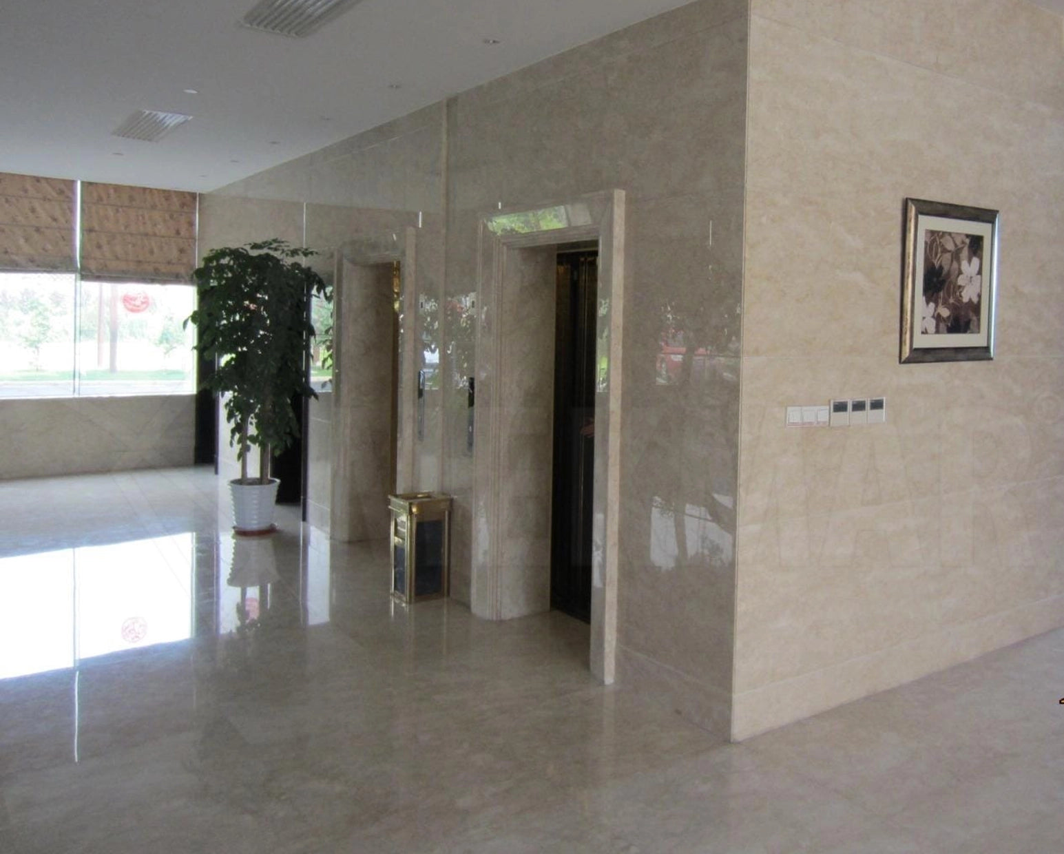 Apple Cream Marble - 2