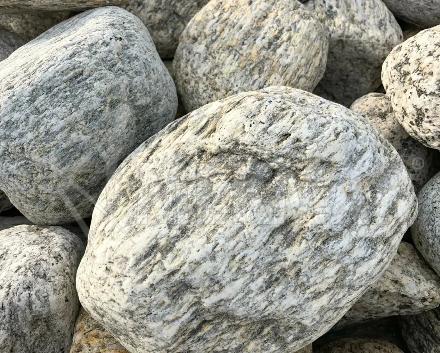 Tiger Gneiss Pebble - 2