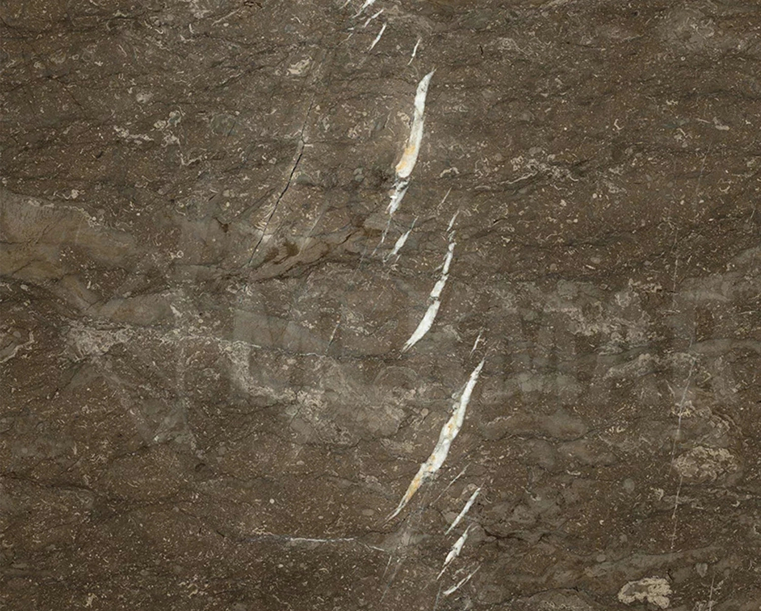 Armani Brown Marble - 8