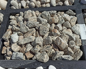 Tiger Gneiss Pebble - 4