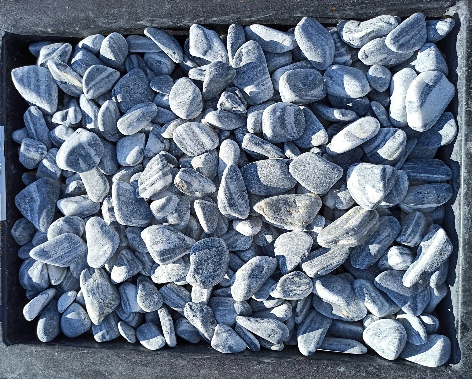 Guijarro Ángel Negro - 1