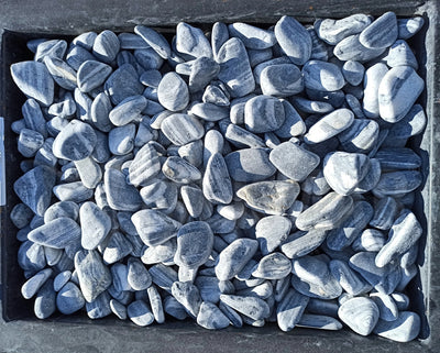 Guijarro Ángel Negro