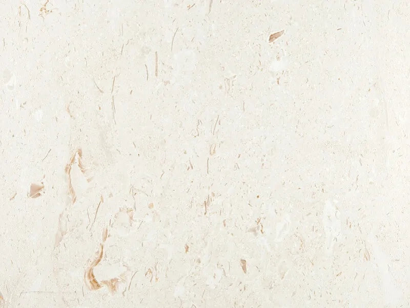 Dalle de calcaire de Jérusalem - 1