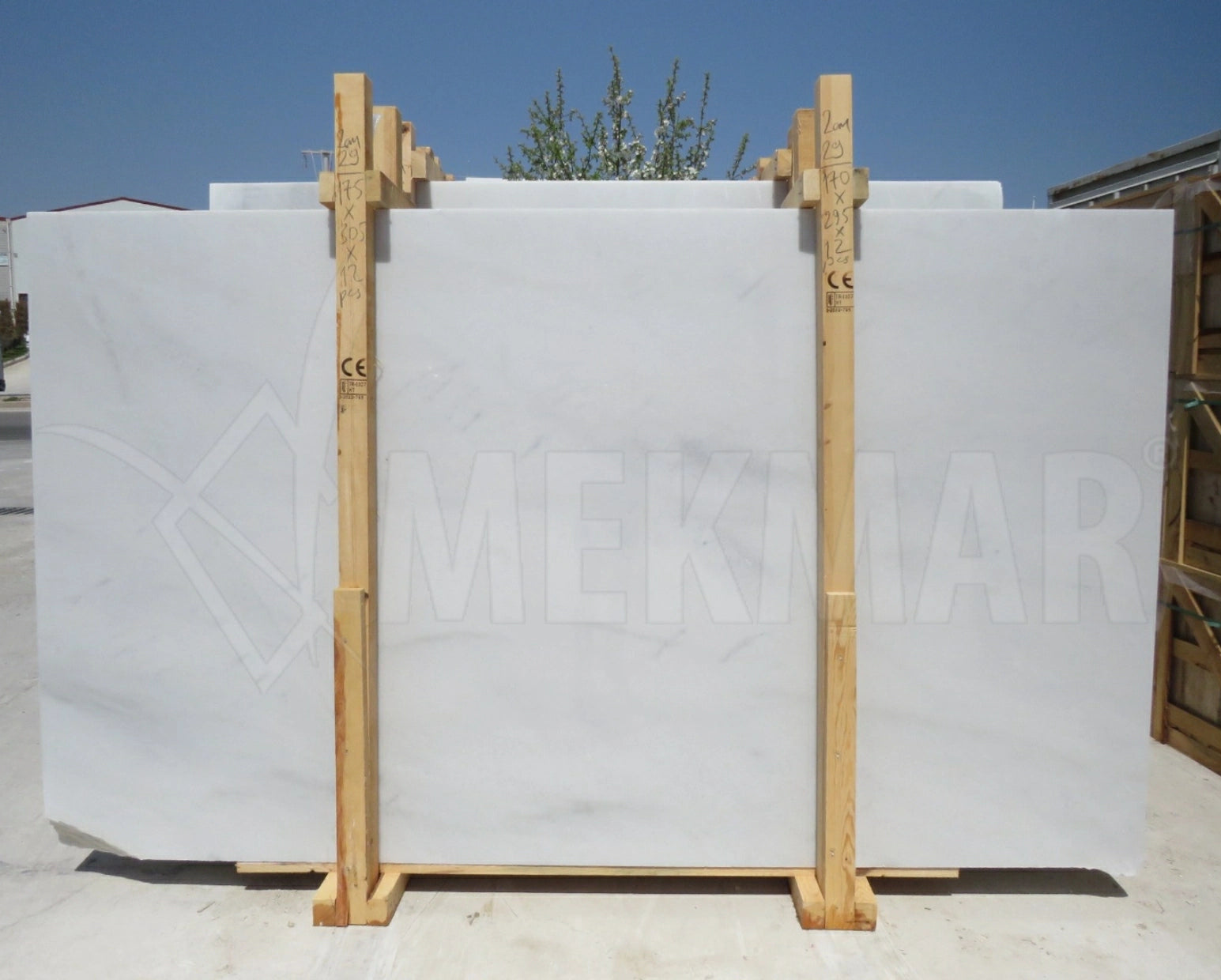 Pasha White Marble Slab - 3