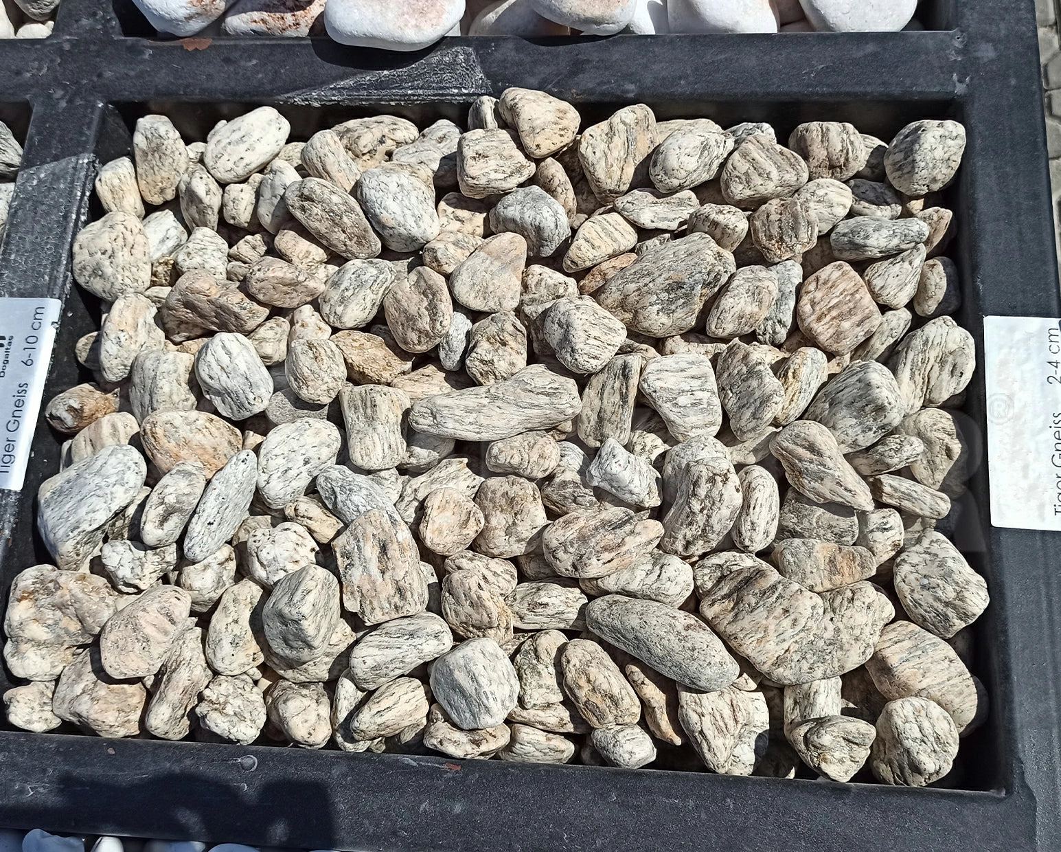 Tiger Gneiss Pebble - 1