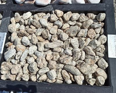 Guijarro de gneis tigre