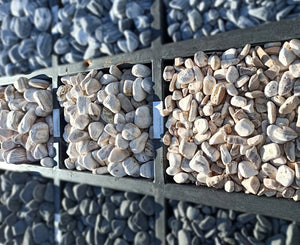 Angel Sparks Pebble - 7