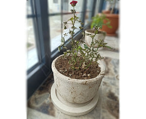 Maceta clásica de travertino - 1