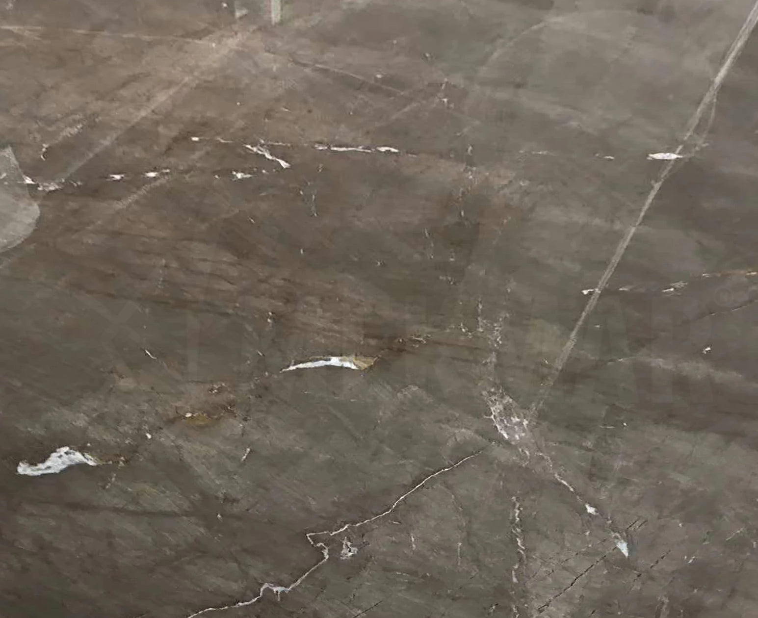 Dalle de marbre Olive Brown - 1