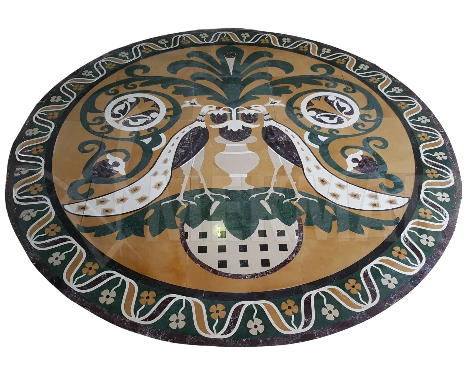 Poinciana «Medallion» - 1